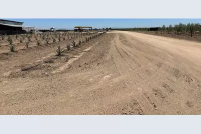 15942 N Jack Tone Road, Lodi, CA 95240 - Photo 15