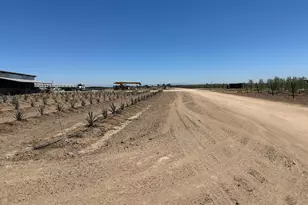 15942 N Jack Tone Rd, Lodi, CA 95240 - Photo 15
