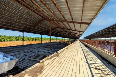 19542 N Jack Tone Road, Lodi, CA 95240 - Photo 23