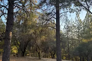 18060 Burgen Dr, Applegate, CA 95703 - Photo 37