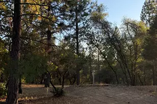 18060 Burgen Dr, Applegate, CA 95703 - Photo 35