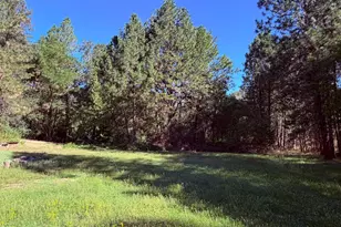 5689 Bucks Bar Rd, Placerville, CA 95667 - Photo 31