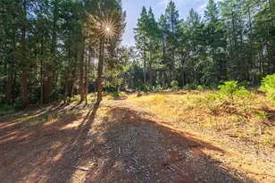 13 Bear Ct, North San Juan, CA 95960 - Photo 11