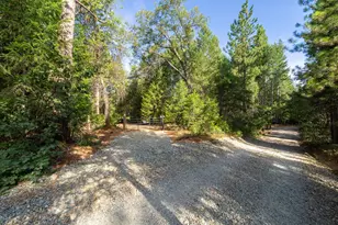 13 Bear Ct, North San Juan, CA 95960 - Photo 13