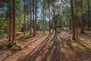 13 Bear Ct, North San Juan, CA 95960 - Photo 69