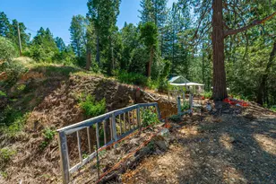 32687 Main St, Dutch Flat, CA 95714 - Photo 69