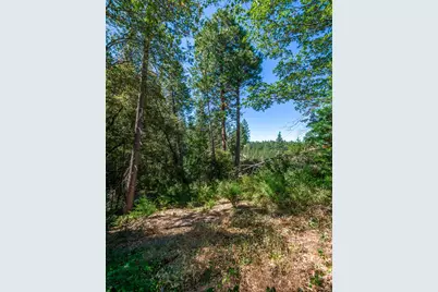 32687 Main Street, Dutch Flat, CA 95714 - Photo 15