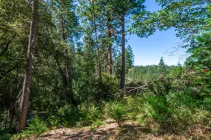 32687 Main St, Dutch Flat, CA 95714 - Photo 15