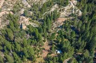 32687 Main St, Dutch Flat, CA 95714 - Photo 75
