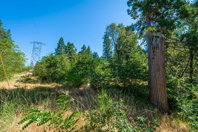 32687 Main Street, Dutch Flat, CA 95714 - Photo 71