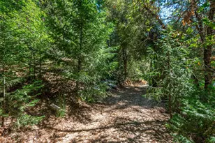 32687 Main St, Dutch Flat, CA 95714 - Photo 5