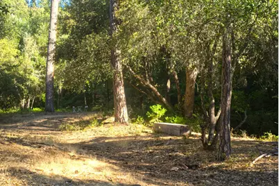 7771 Boondock Trail, Somerset, CA 95684 - Photo 5
