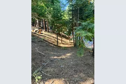1534 Sierra Parkway, Dorrington, CA 95223 - Photo 3
