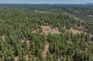 19484 Deerwood Dr, Volcano, CA 95689 - Photo 65