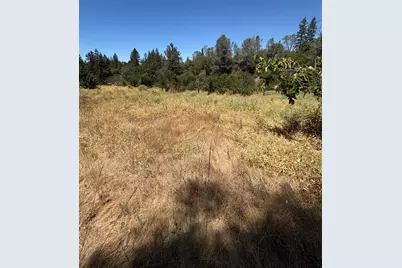 19040 Placer Hills Road, Meadow Vista, CA 95722 - Photo 39