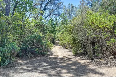 19040 Placer Hills Road, Meadow Vista, CA 95722 - Photo 33