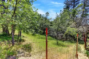 Gladycon Rd, Colfax, CA 95713 - Photo 37