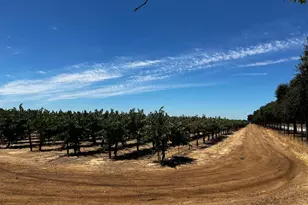 110 McFarland St, Galt, CA 95632 - Photo 11