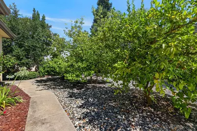 1230 Genesee Court, Carmichael, CA 95608 - Photo 71