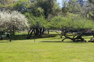 9535 Castle Ln, Newcastle, CA 95658 - Photo 3