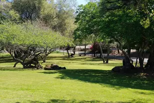 9535 Castle Ln, Newcastle, CA 95658 - Photo 35