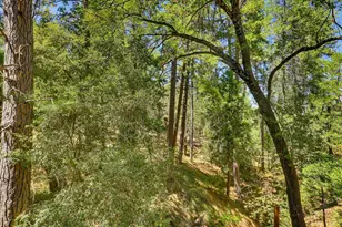 10584 N Bloomfield Rd, Nevada City, CA 95959 - Photo 45