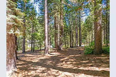 2430 Navajo Drive, Dorrington, CA 95223 - Photo 17