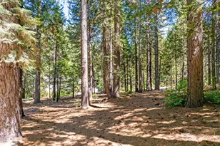 2430 Navajo Dr, Dorrington, CA 95223 - Photo 17