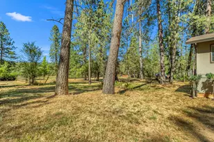 3161 Hume Glenn Dr, Placerville, CA 95667 - Photo 3