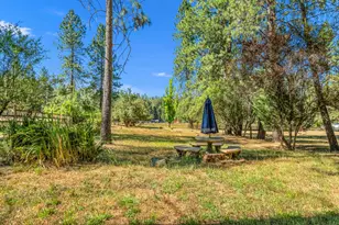 3161 Hume Glenn Dr, Placerville, CA 95667 - Photo 7