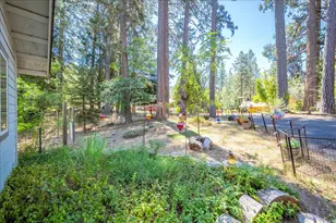 4375 Harness Tract Rd, Camino, CA 95709 - Photo 39