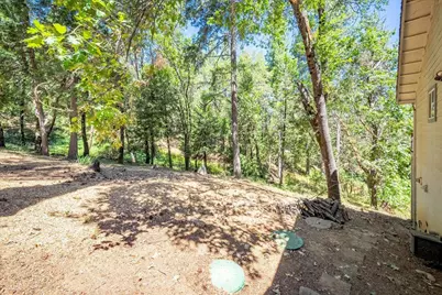 4375 Harness Tract Road, Camino, CA 95709 - Photo 73