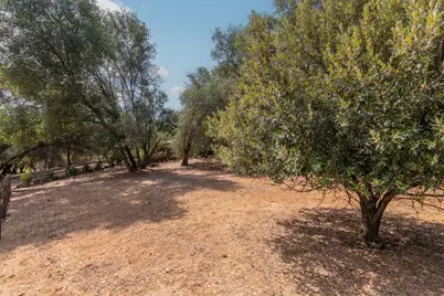 285 Smith Flat Road, Angels Camp, CA 95222 - Photo 7