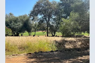 285 Smith Flat Road, Angels Camp, CA 95222 - Photo 43