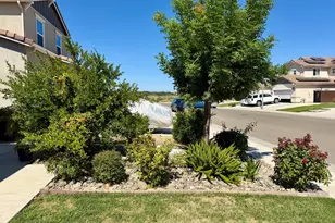 2668 N Blue Sedge St, Manteca, CA 95337 - Photo 53