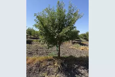 0 W Clarksburg Road, Clarksburg, CA 95612 - Photo 1