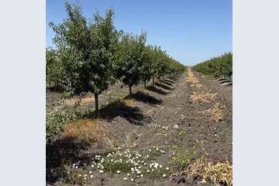 0 W Clarksburg Road, Clarksburg, CA 95612 - Photo 9