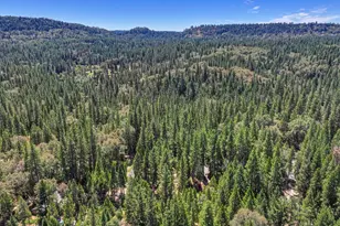 14777 Nicolle Dr, Nevada City, CA 95959 - Photo 47