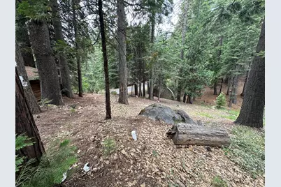 803 Wikami Way, Dorrington, CA 95223 - Photo 13
