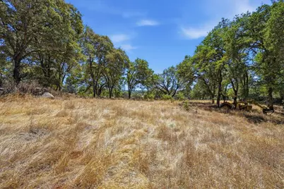 12877 Danzer Place, Grass Valley, CA 95949 - Photo 25