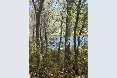 12877 Danzer Place, Grass Valley, CA 95949 - Photo 37