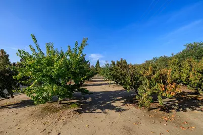 Held #10, Modesto, CA 95355 - Photo 43