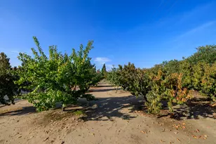 Held, Modesto, CA 95355 - Photo 43