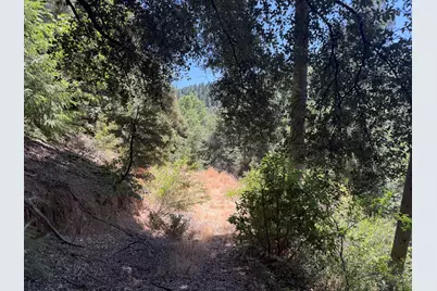 20363 Grizzly Creek Road, Nevada City, CA 95959 - Photo 13