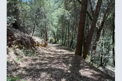 20363 Grizzly Creek Road, Nevada City, CA 95959 - Photo 17