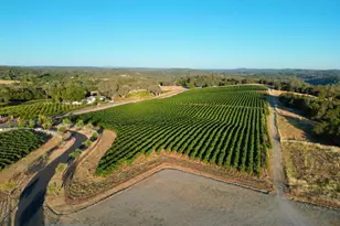 1100 Cold Springs Rd, Placerville, CA 95667 - Photo 91