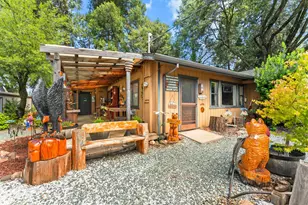22671 State Hwy 88, Pioneer, CA 95666 - Photo 25
