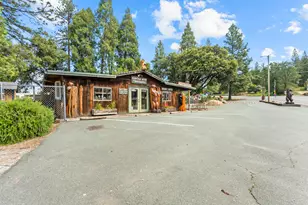 22671 State Hwy 88, Pioneer, CA 95666 - Photo 3