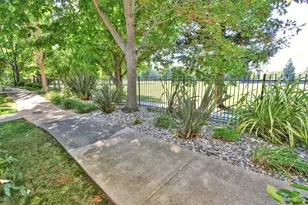 7809 Park River Oak Cir, Sacramento, CA 95831 - Photo 5
