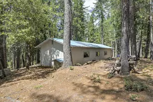 7470 Lion Alley, Georgetown, CA 95634 - Photo 51